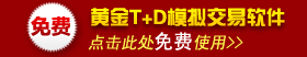 黄金td模拟交易系统