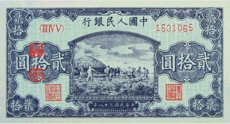 cdo5h50po3m1.jpg