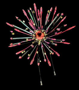 香港珠宝设计师Wallace Chan作品