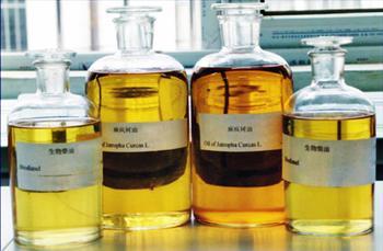 关于生物柴油稳中求胜的硕士学位毕业论文范文