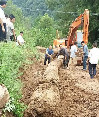 四川万源市庙垭乡云程村发现数根乌木