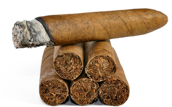 雪茄茄衣质量受产地和气候条件影响