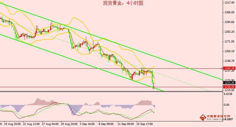苏格兰gdp_苏格兰牧羊犬(3)