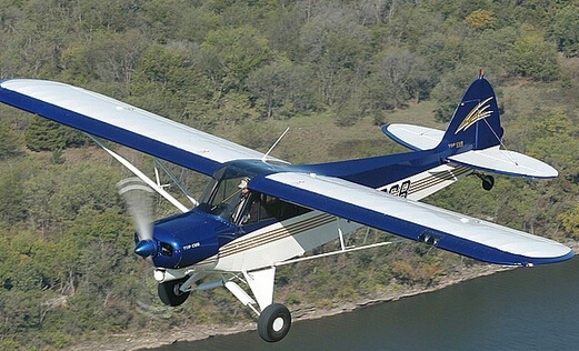 Top Cub：玩家公认的终极越野私人飞机