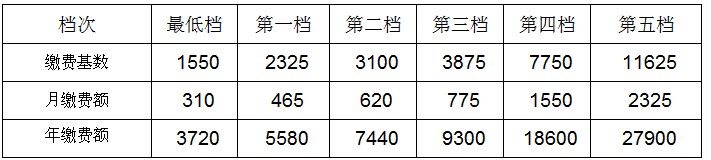 个体养老保险新政策