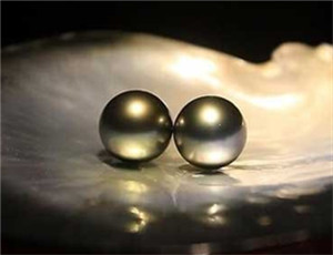北京惊现天然黑珍珠 价格高达108万元
