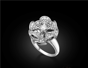 珠宝新风尚 戴花戒指才称得上;夏日风景;