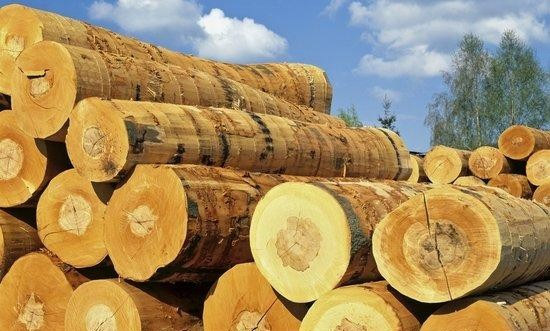 “欧盟木材法规”对中国和越南木制品出口的影响
