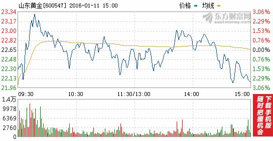 今日山东黄金股票行情(2016年1月11日)