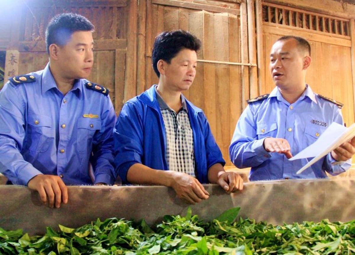 工商质监局指导融安茶叶行业快速发展