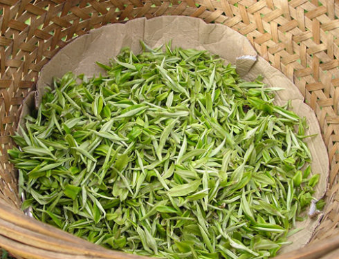 教你如何简单辨别碧螺春茶叶真假-第2页图片