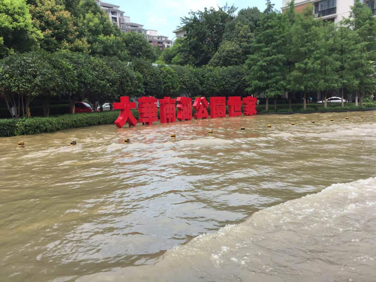 武汉洪水:武汉南湖片区积水严重市民直接捉鱼-第8页