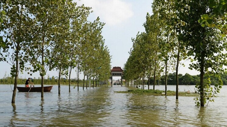 2021姓洪的有多少人口_姓云全国人口有多少