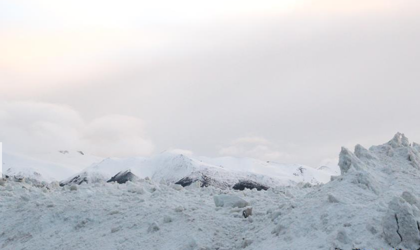 东汝乡人口_人口普查图片(2)