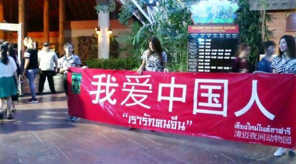 点击图片查看详情 家族拉人口号_白猫计划 招募花样繁多奇葩家族哪家强(3)
