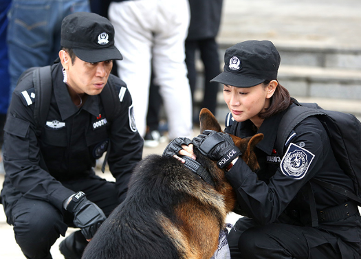 《警花与警犬》再曝剧照 于和伟刻苦训练励志满满-第4页