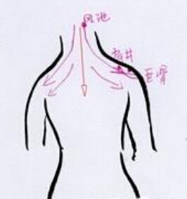 泗滨砭石背部刮痧养生疗法示意图一