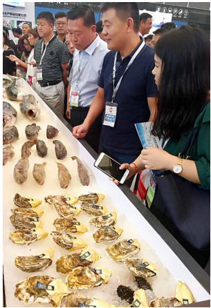 獐子岛等大连核心海产品“鲜”动上海渔博会