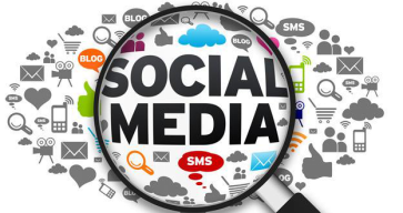 站在风口上的“猪”,好获商城为你解读垂直社群电商