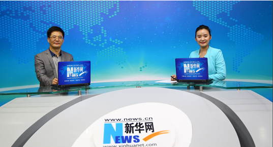 财猫网,拍拍贷,陆金所