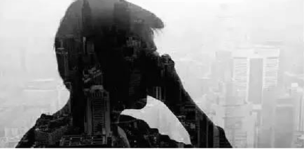 月入过万不算高薪?财猫网、陆金所、拍拍贷花式操作资产增值