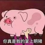 精致的猪猪女孩
