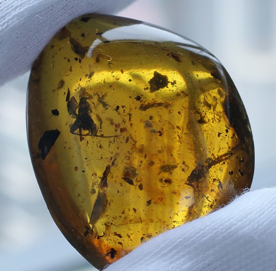 琥珀 正文 原石产地,每年的蜜蜡原矿储量占到世界的80%.
