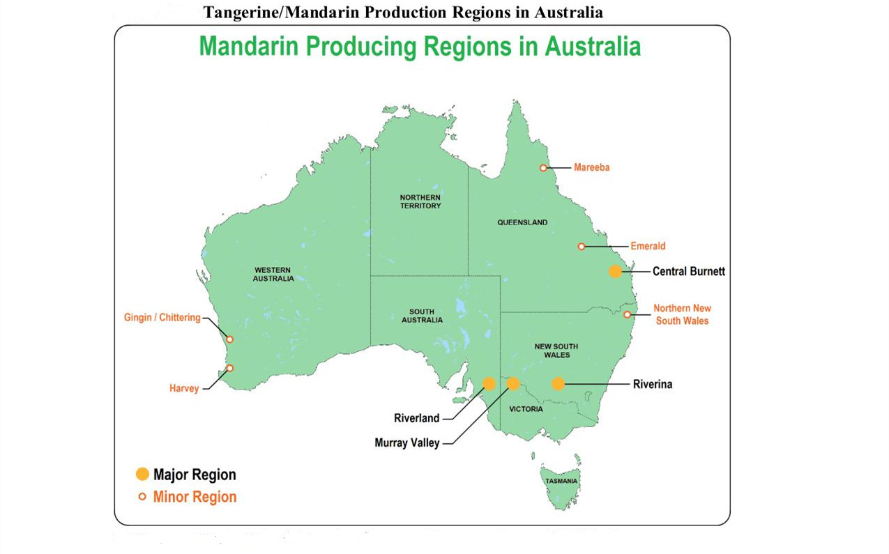 中国市场占40澳大利亚国内柑橘供需失衡在中国清关遇阻