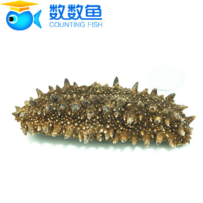 数数鱼香米野生五常红参50g4-5头日本田夫海参经典5kg图片
