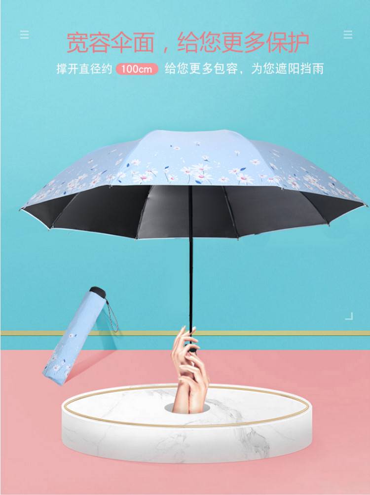 社c二年目