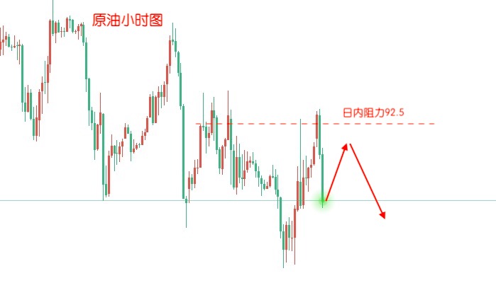 烛照数计网