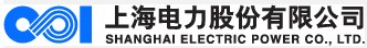 上海電力(600021)