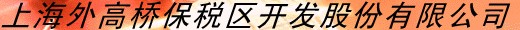 外高B股(900912)
