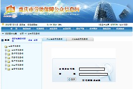 重庆医保卡余额查询