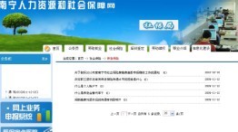 南宁市养老保险查询