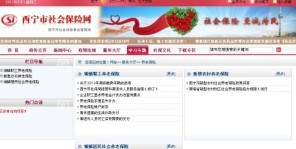 西宁市养老保险查询