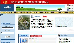 石家庄医疗保险查询