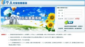 海口市养老保险查询
