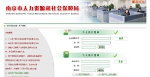 南京养老保险查询