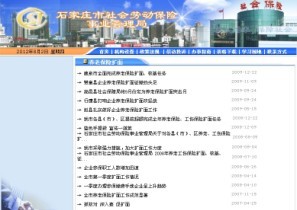 石家庄养老保险查询