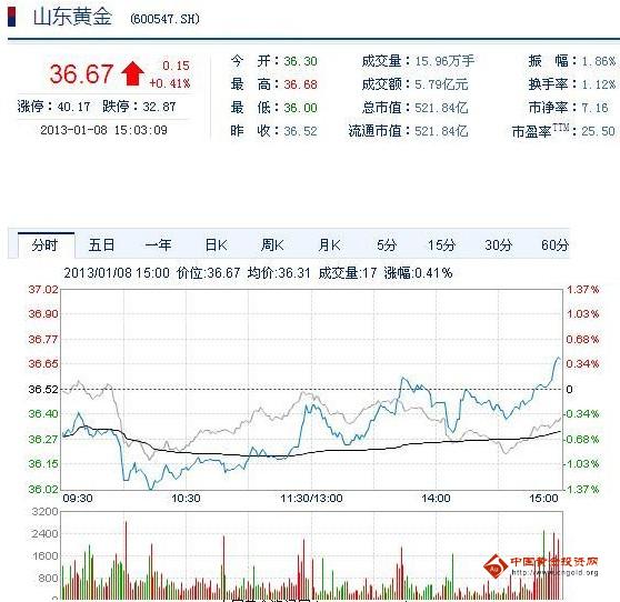 今日山東黃金股票行情(2013年1月8日)