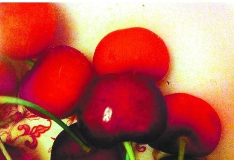 传樱桃盐水浸泡有虫爬出 有虫其实是自然