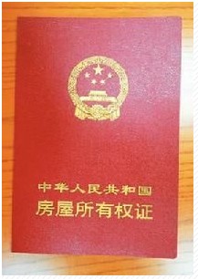 收入证明_买车 收入证明(2)