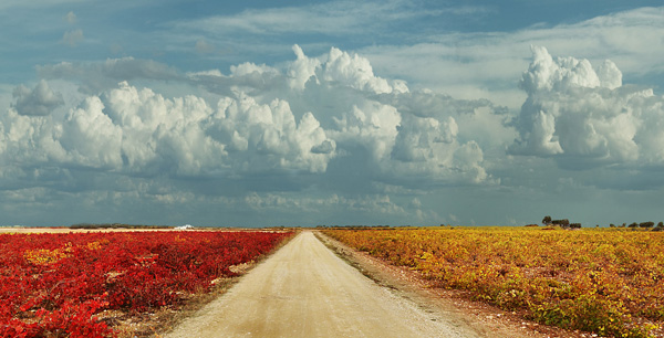 西班牙拉曼洽法定产区2013年中国秋季巡回名