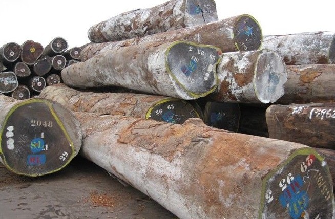 怎么鉴别毛药乌木