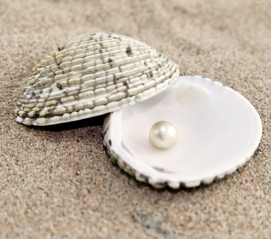 首届中国珍珠产业圈论坛会议在三亚召开