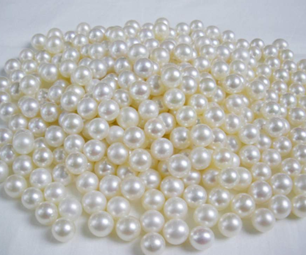 诸暨山下湖举办珍珠产业专项对接会