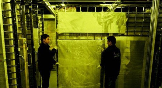 自贸试验区首拍降格的背后