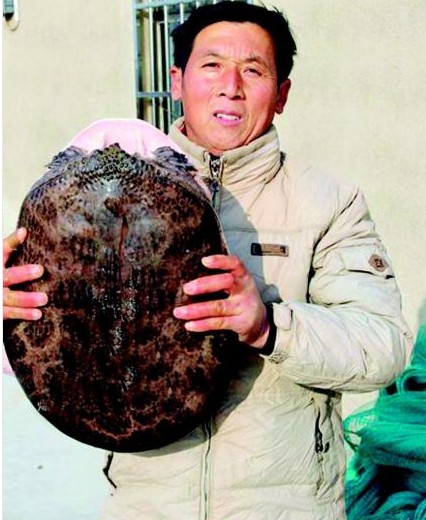 男子捕获百岁甲鱼放生 拒绝饭店高价收买