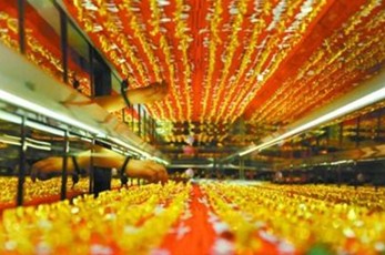 年关黄金价格今天多少一克(2013年12月31日)